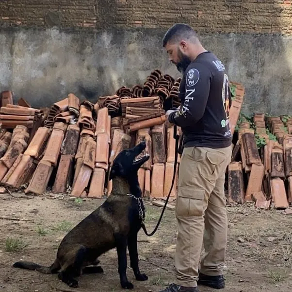 Top Cães Adestramento | Treinamento Canino, Passeio personalizado, Pet Hotel e Creche em Rondônia