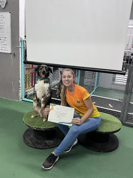 Smart Pet Adestramento