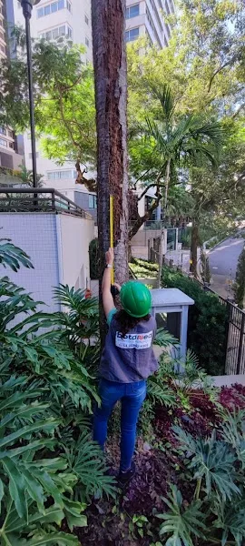 Dedetização Botanea Soluções Ambientais
