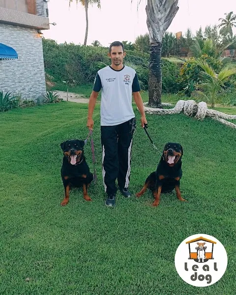 Leal Dog Adestramento