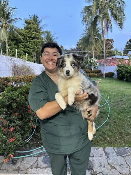 Amazing Dog