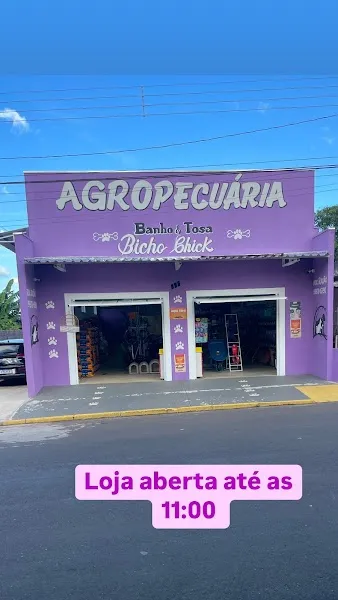 Agropecuria Bicho Chick