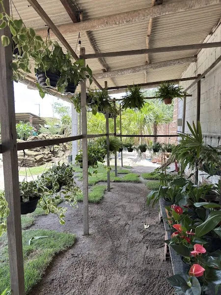 Cariri Garden